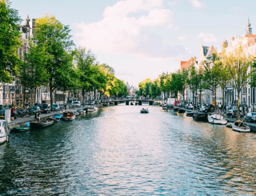 Últimas plazas para estudiar en Holanda en 2019